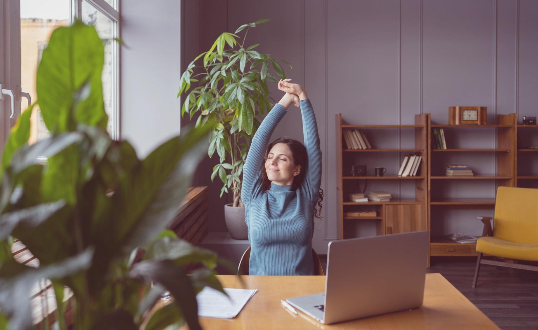Follow-up resources and activity tracking templates provided to seminar participants